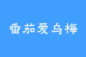 番茄爱乌梅