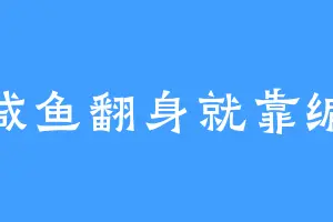 咸鱼翻身就靠编