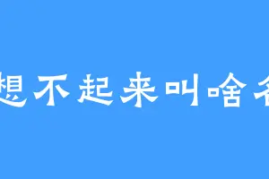 想不起来叫啥名