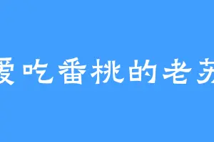 爱吃番桃的老苏