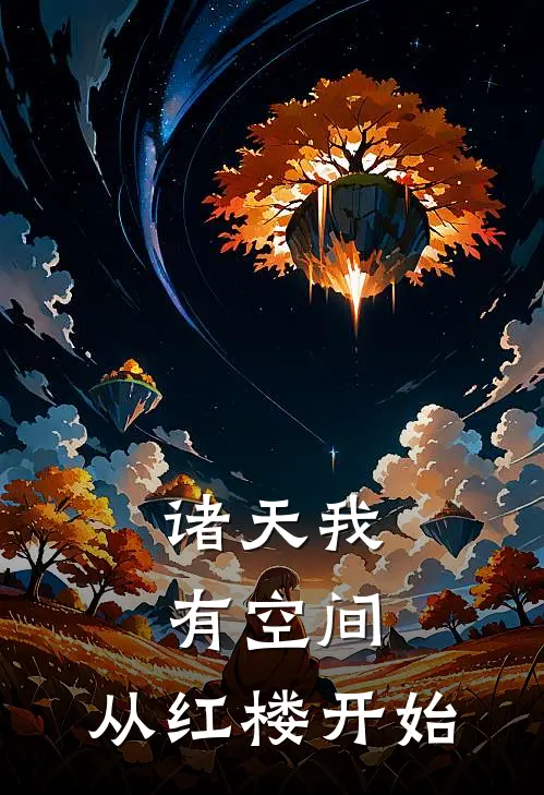 诸天我有空间，从红楼开始