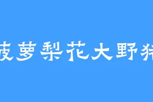 菠萝梨花大野猪