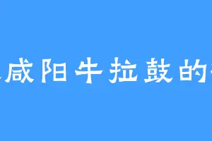 喜欢咸阳牛拉鼓的敏泰